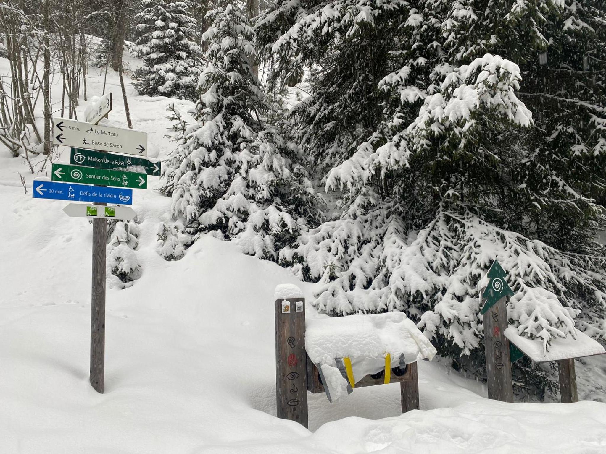 Chalet Rustique à La Tzoum'