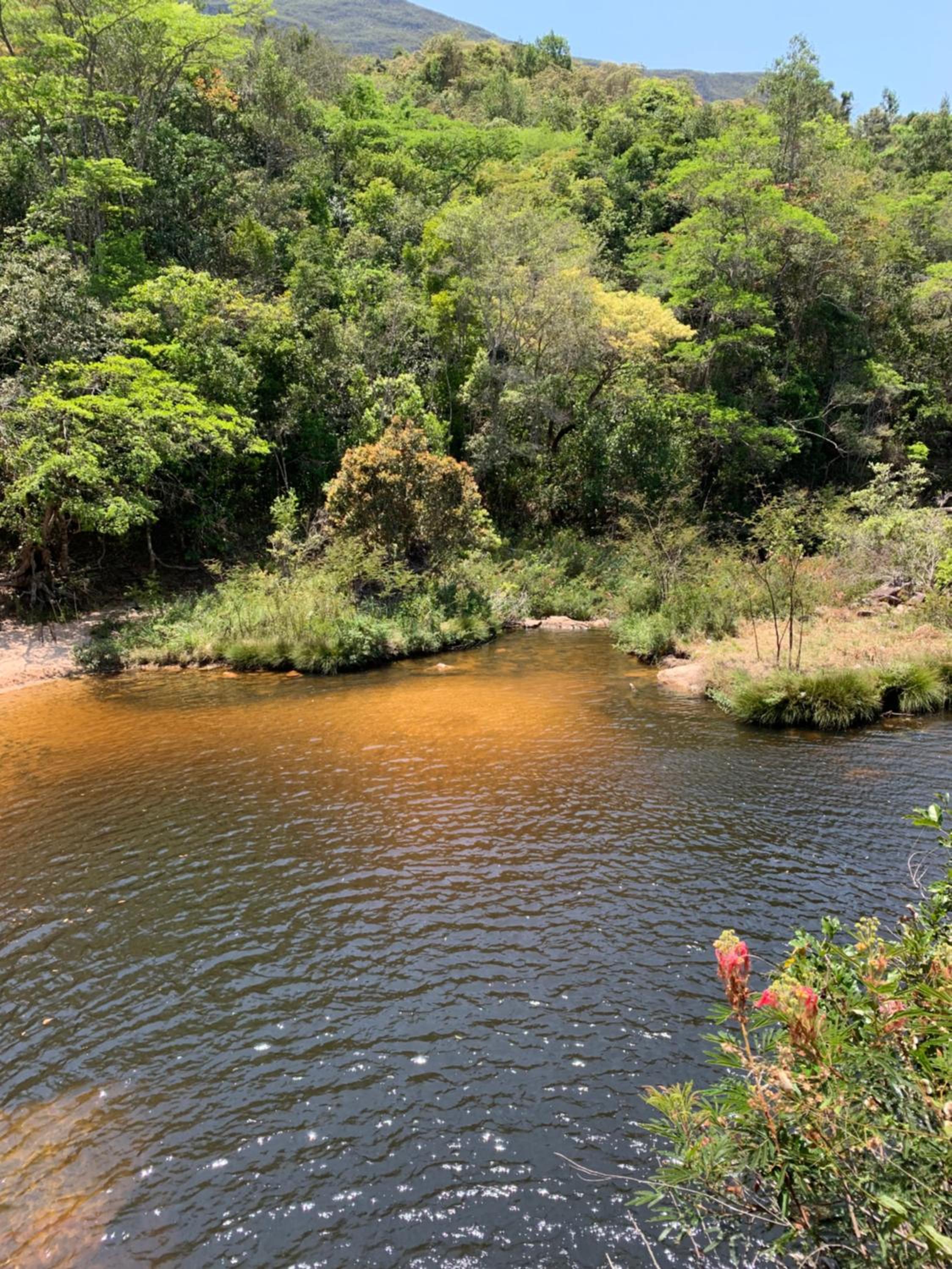 Reserva do Bosque Hospedaria e Natureza