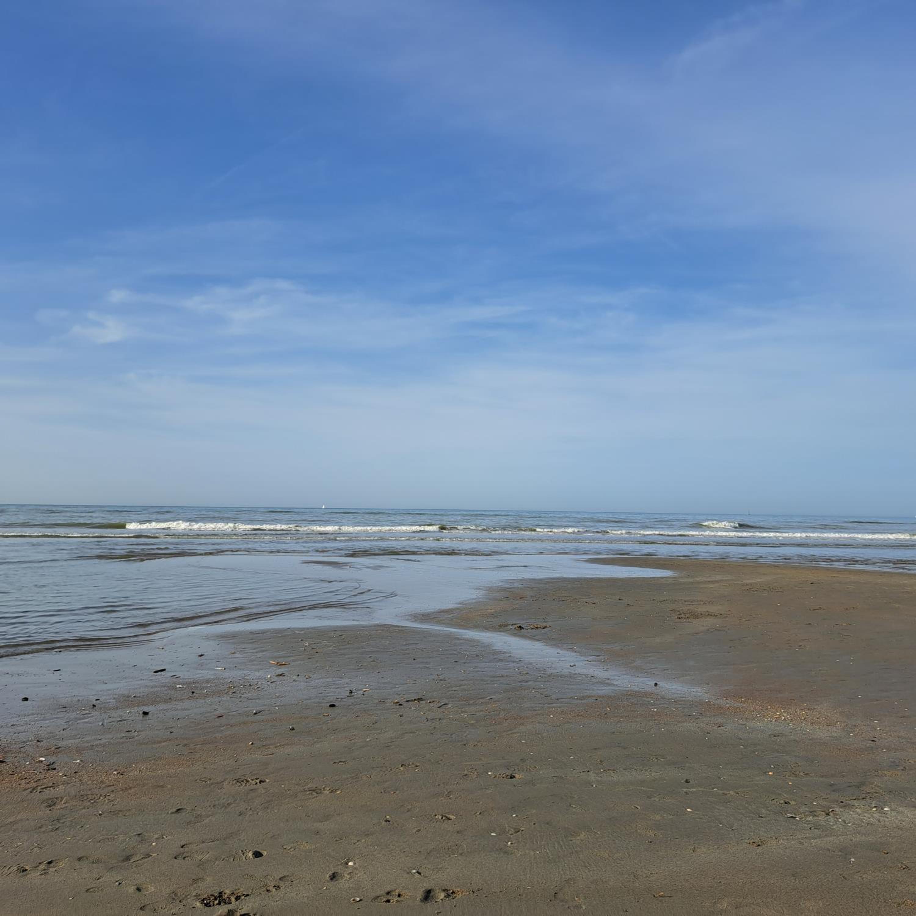 Dunehuys