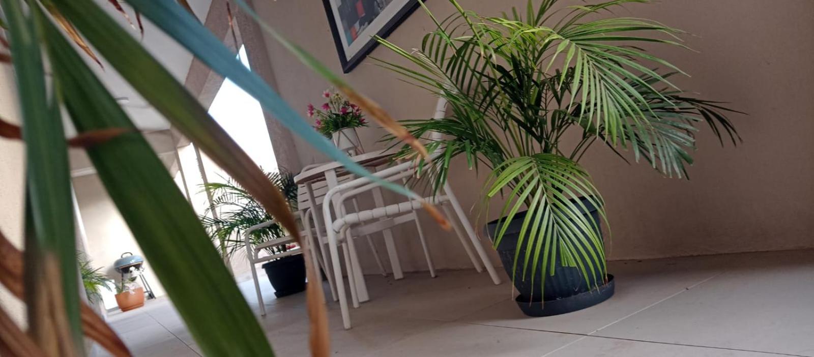 Aruba Villas