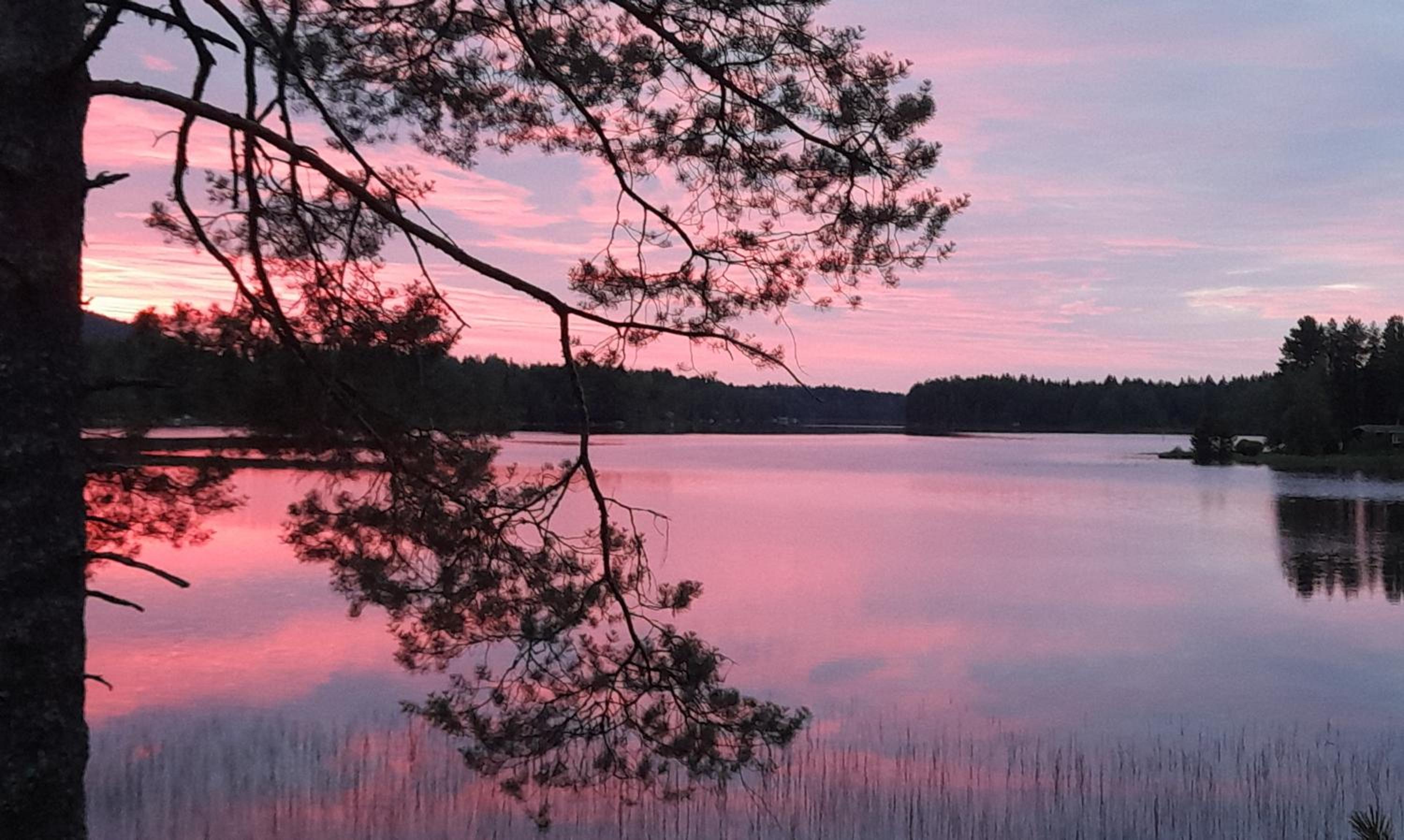 Lomaniemi Mäntylä Tahkovuori