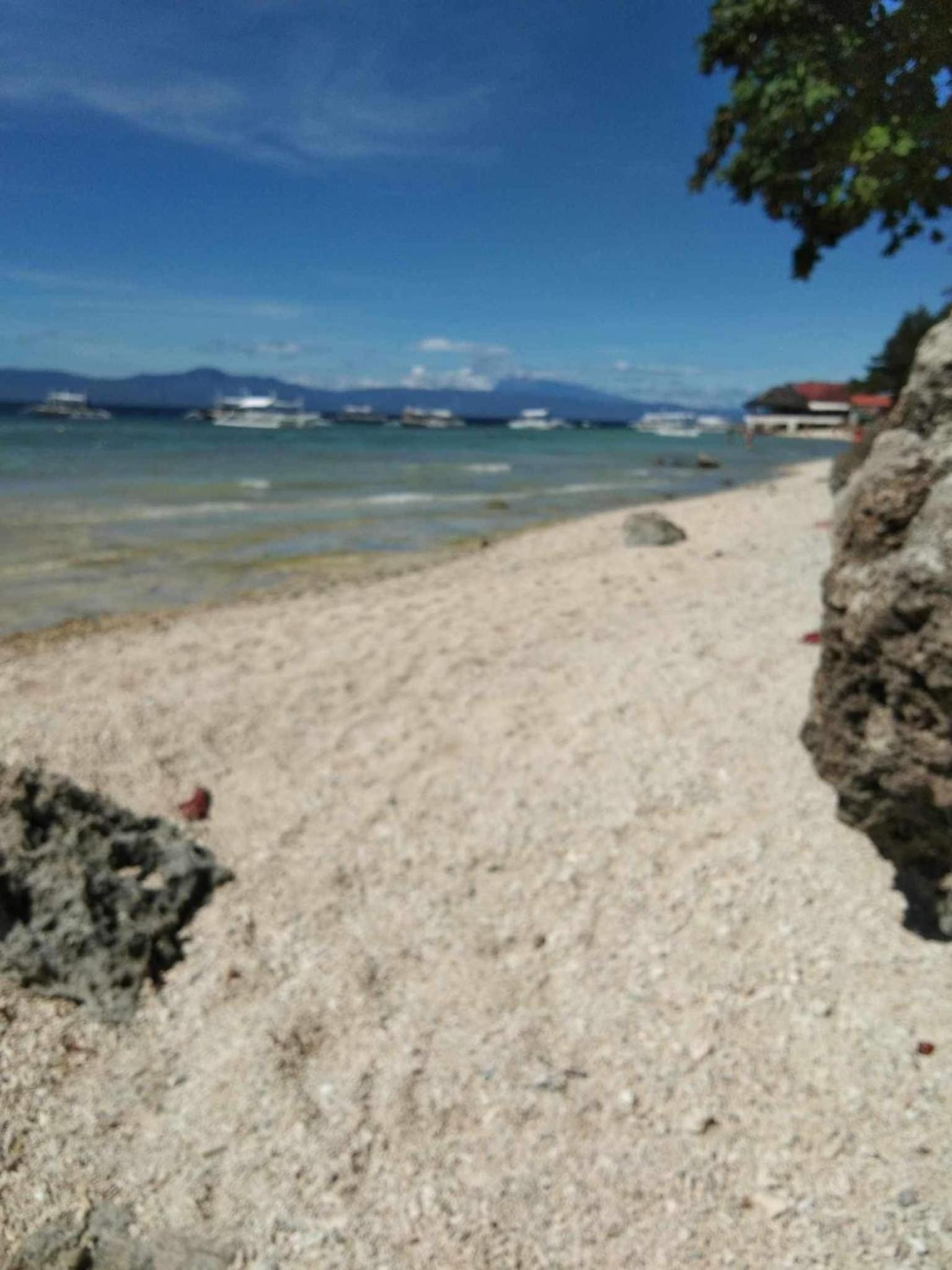 Pescador View Beachfront and Extension by the Ocean Hostels & Restaurant Moalboal view 5