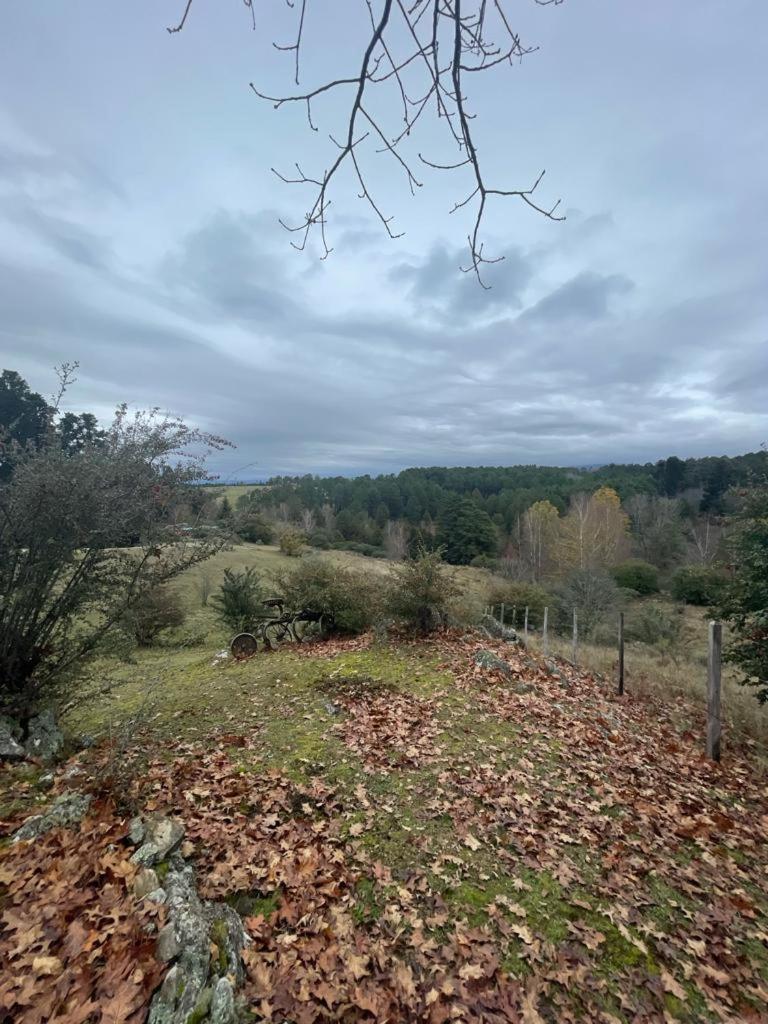 Chalet del Bosque Villa Berna