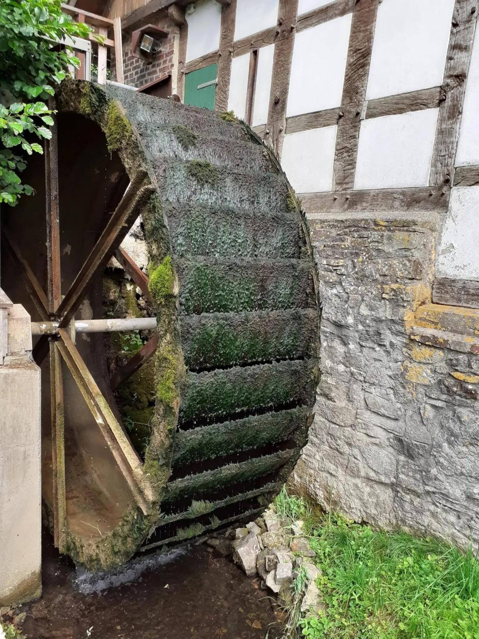In der Wassermühle