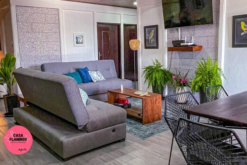 Casa Flamingo - Central Oasis - No 4x4 needed