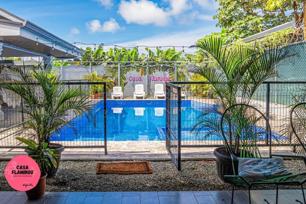 Casa Flamingo - Central Oasis - No 4x4 needed