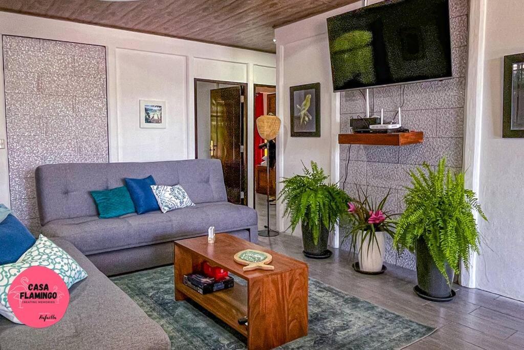 Casa Flamingo - Central Oasis - No 4x4 needed