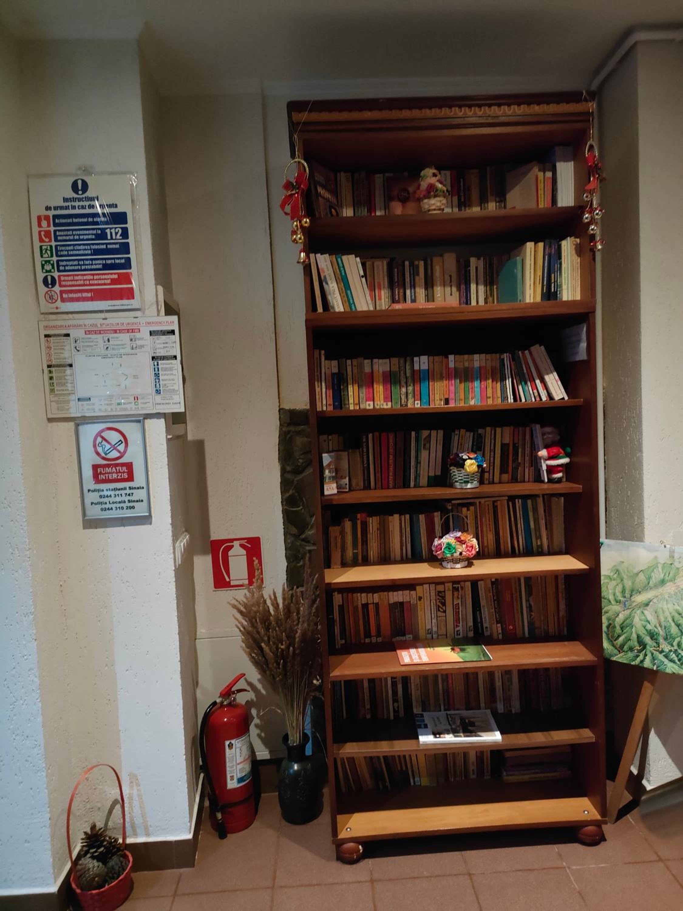 Photo 46
