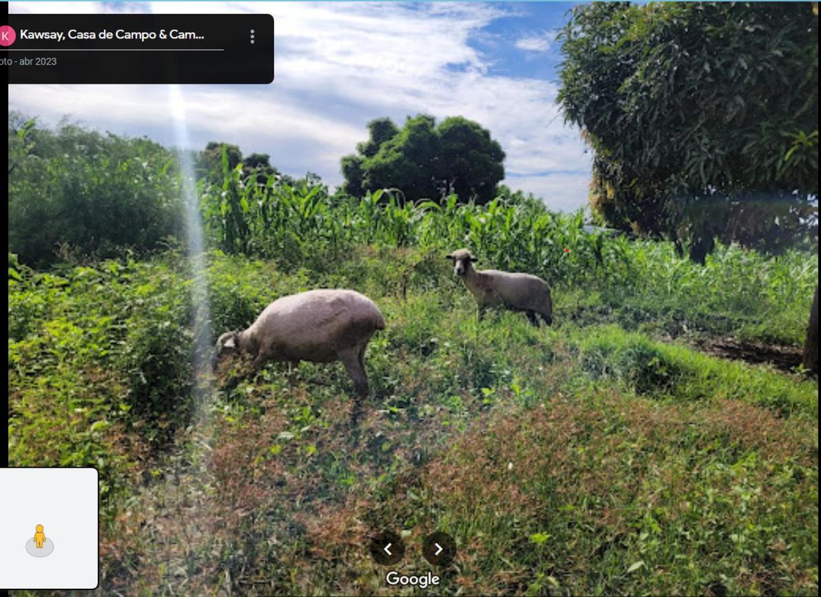 Kawsay, Casa de Campo & Camping view 4