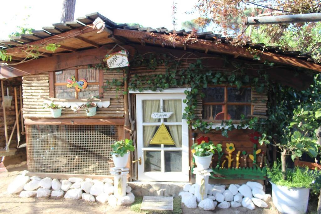 Cabaña con encanto