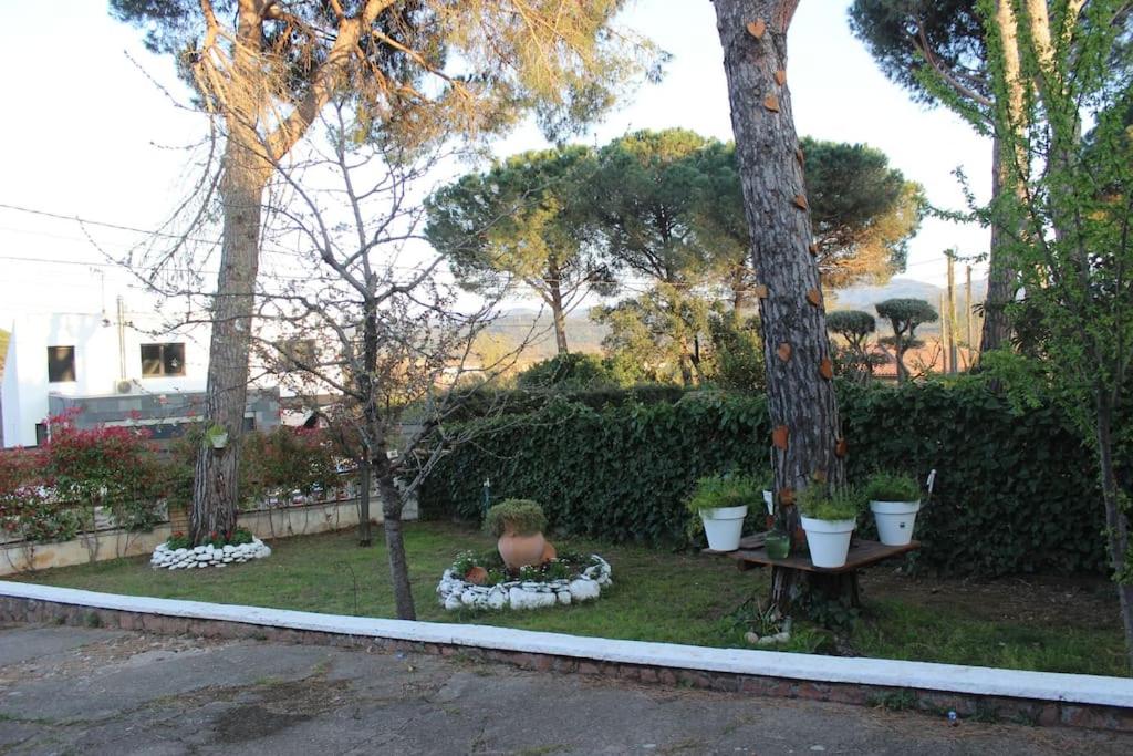 Cabaña con encanto
