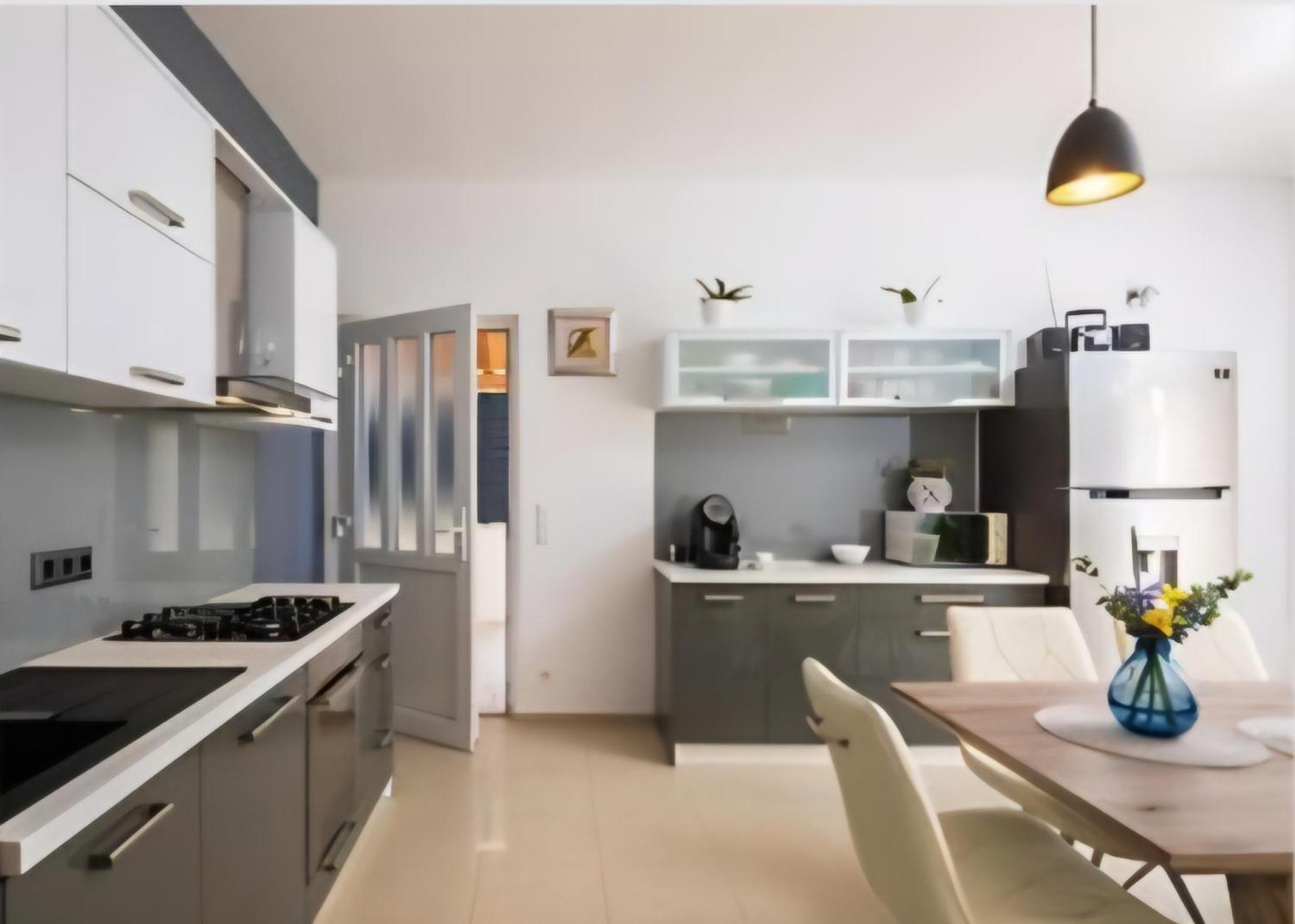 Luxury apartment Roko