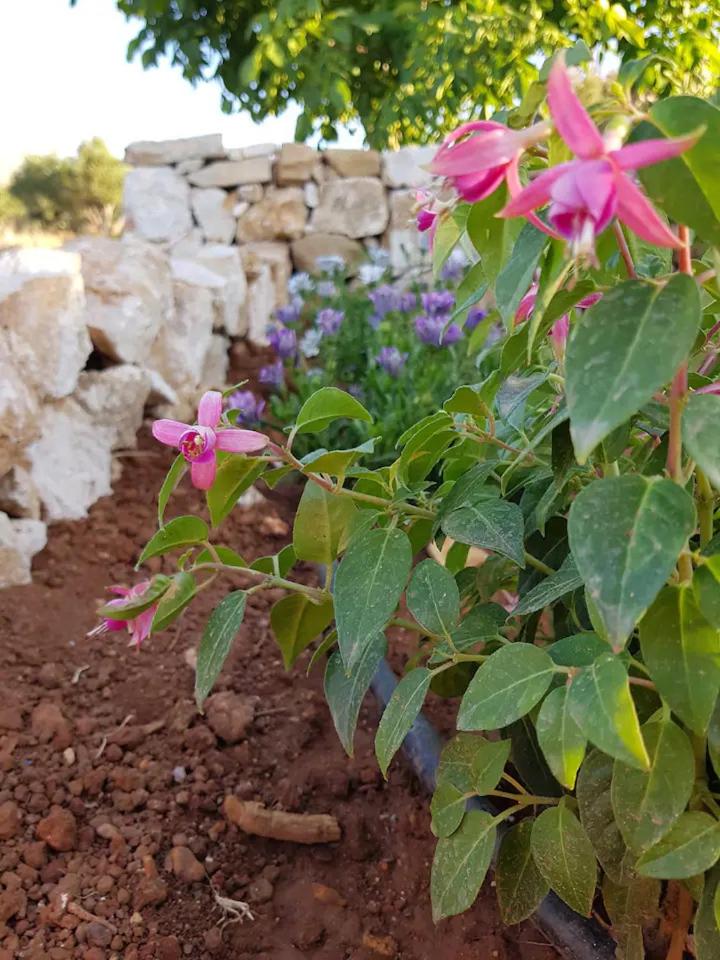 Damianakis Village Rethymno