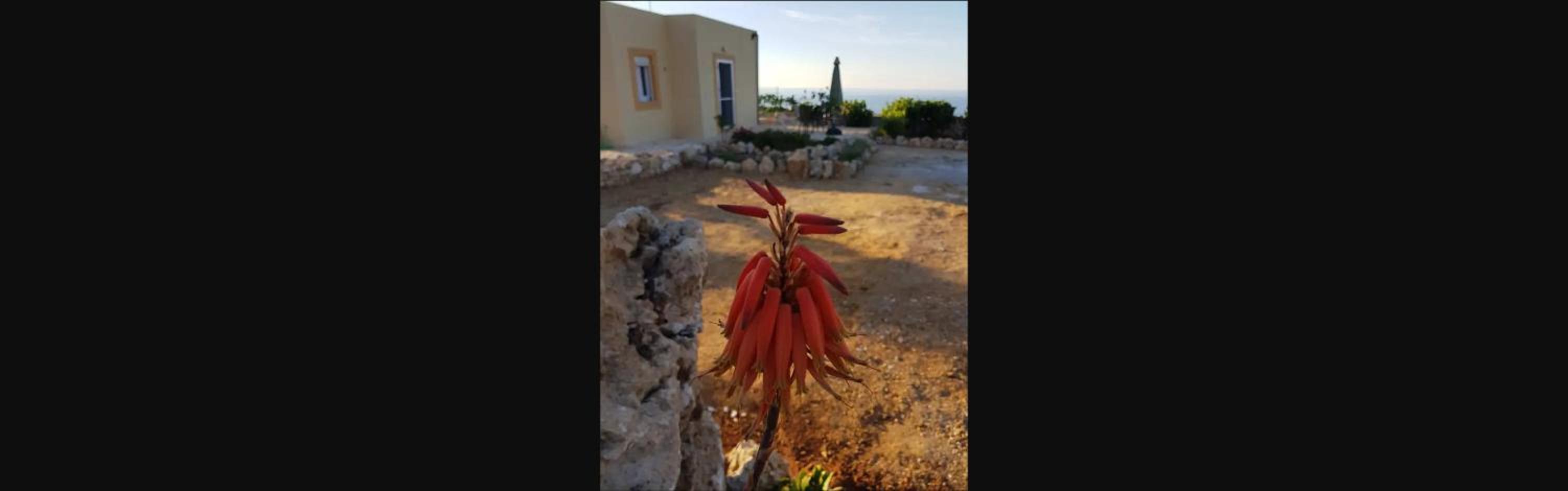 Damianakis Village Rethymno