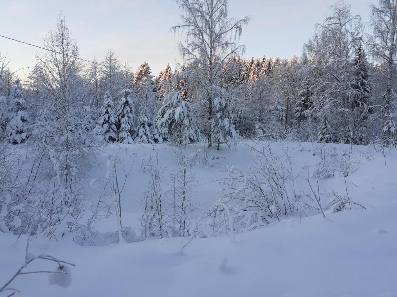 Rauhallinen mökki