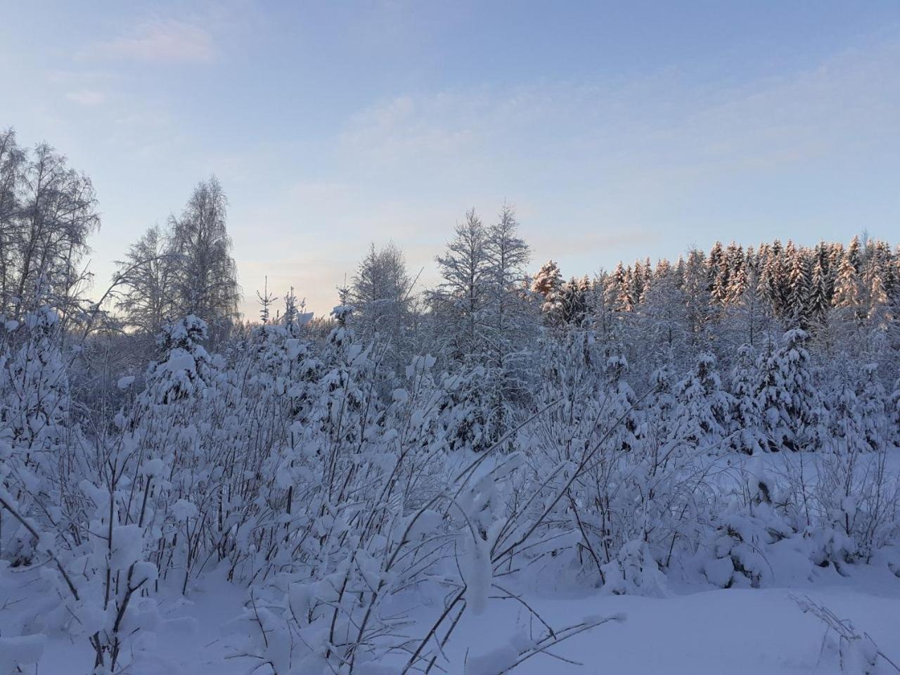 Rauhallinen mökki