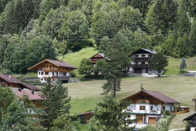 Haus Alpenheim