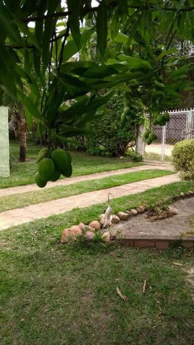 Chacara muito bonita região de Limeira - Sp