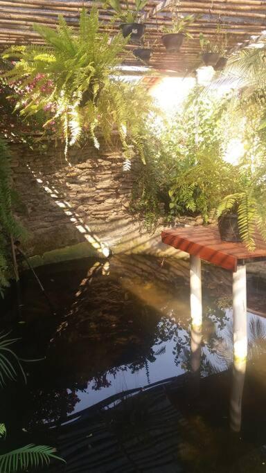 Chacara muito bonita região de Limeira - Sp