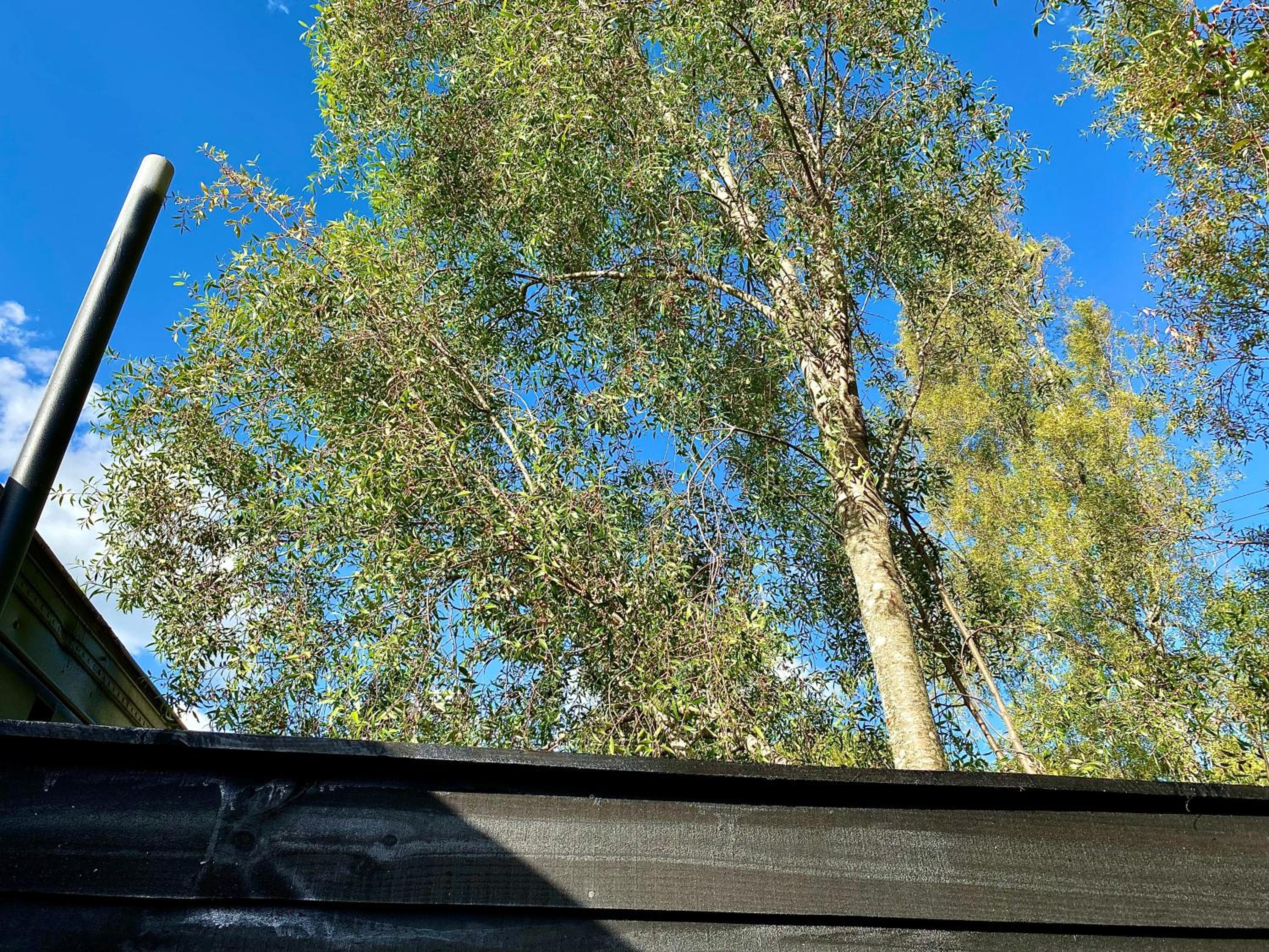 Refugio 14 with hot tub in the forest