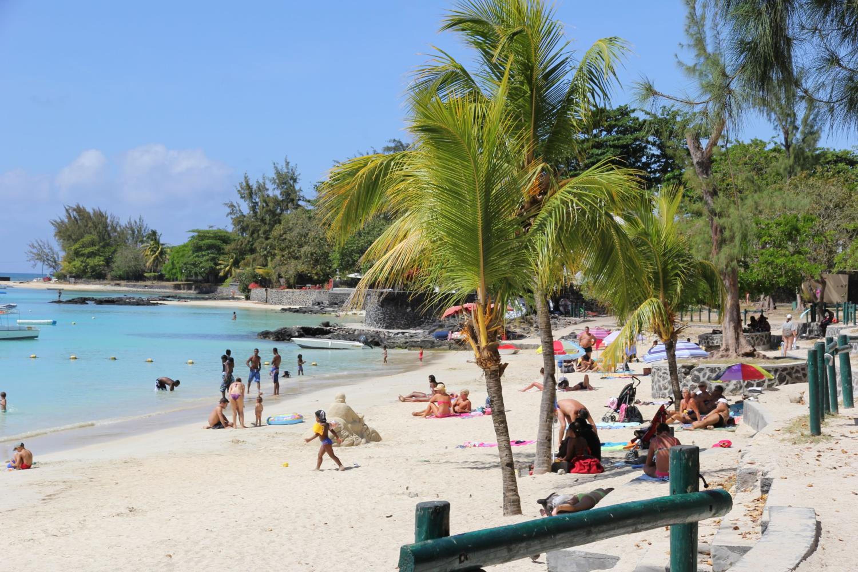 Tropical Holidays