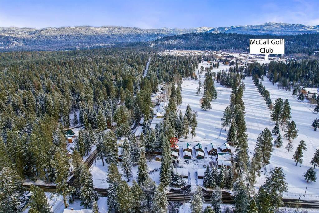 Ponderosa