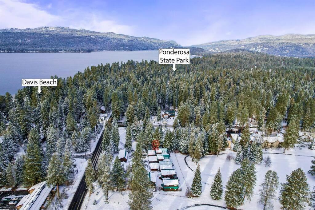 Ponderosa