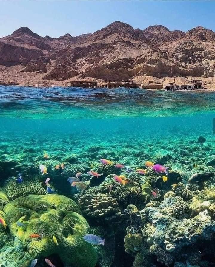 Sunny Dahab Resort Deluxe Sea View