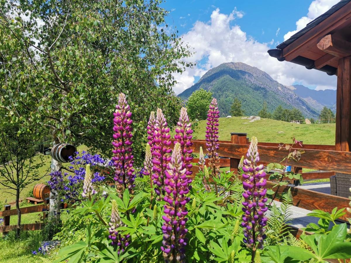 Baita Carnale, Montagna in Valtellina photo 4