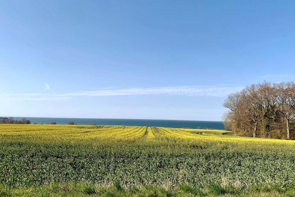 Dein Haus am Meer mit Sauna