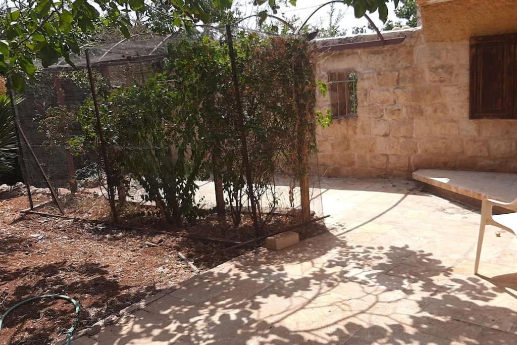 Self-Contained Garden apartment with Galilee sea & mountains view 2 view 3