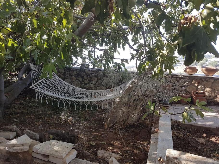 Self-Contained Garden apartment with Galilee sea & mountains view 2 view 4