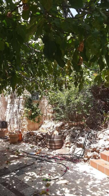 Self-Contained Garden apartment with Galilee sea & mountains view 2 view 5