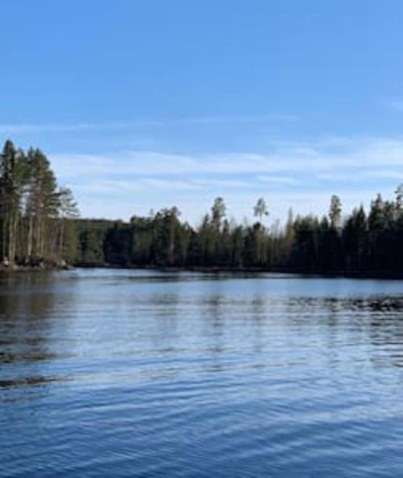 Velkommen til Finnskogen og minihytta Rimbila view 4