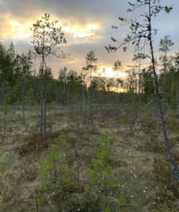 Photo 41