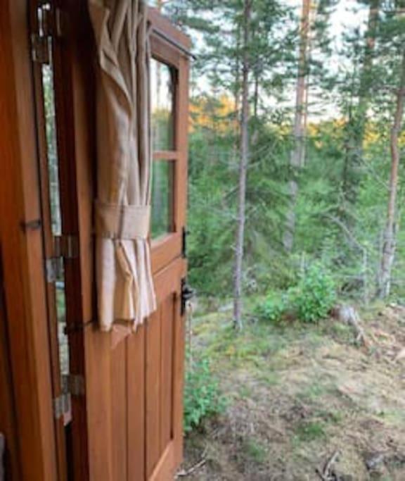 Photo 44