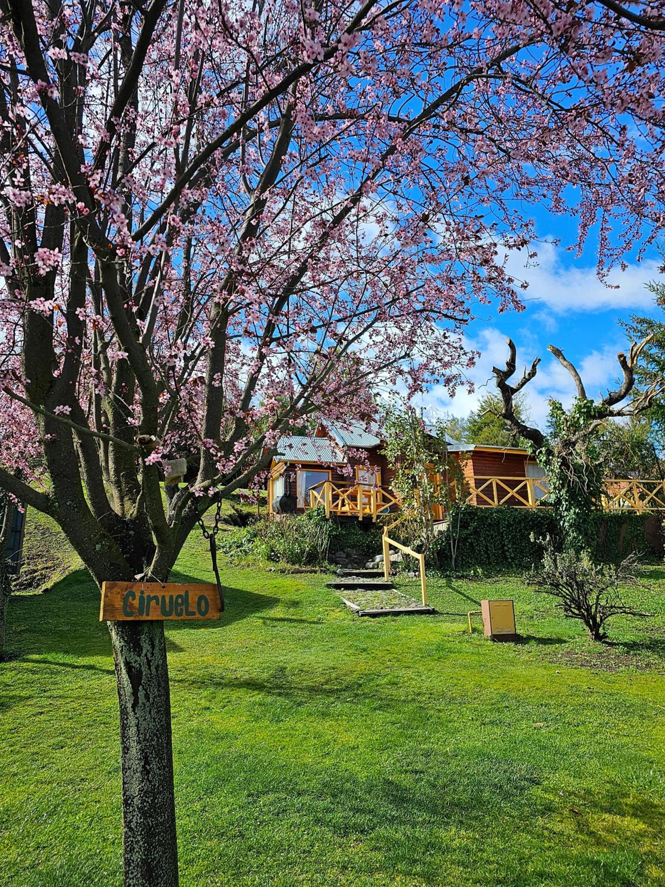 La Yaya - Villa Turismo