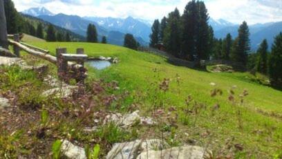 Apartment Schneeberger