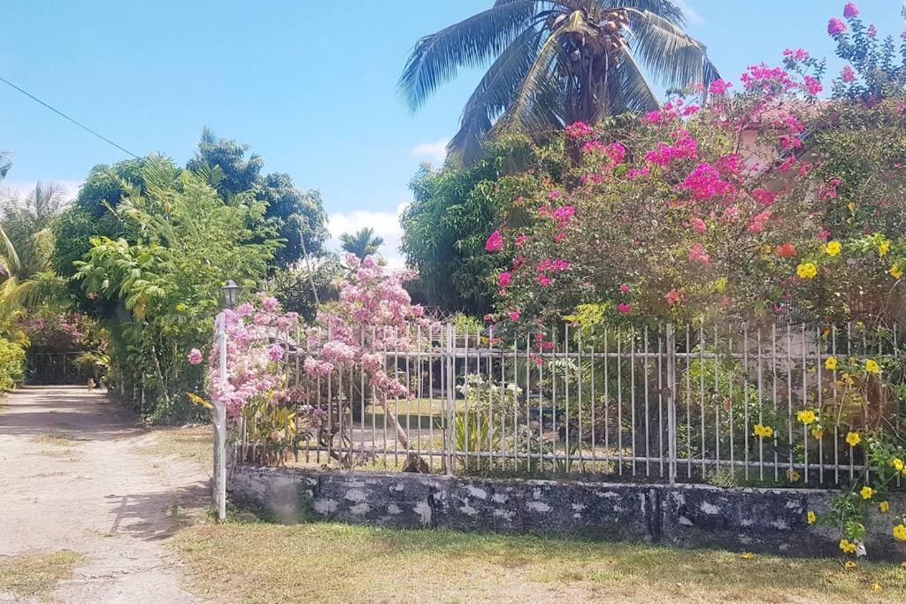 Central Nadi - Lodge 2 - view 10