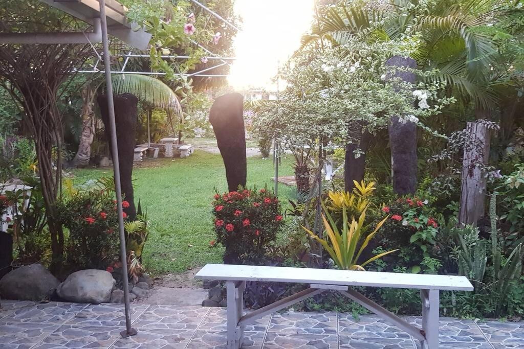 Central Nadi - Lodge 2 - view 18