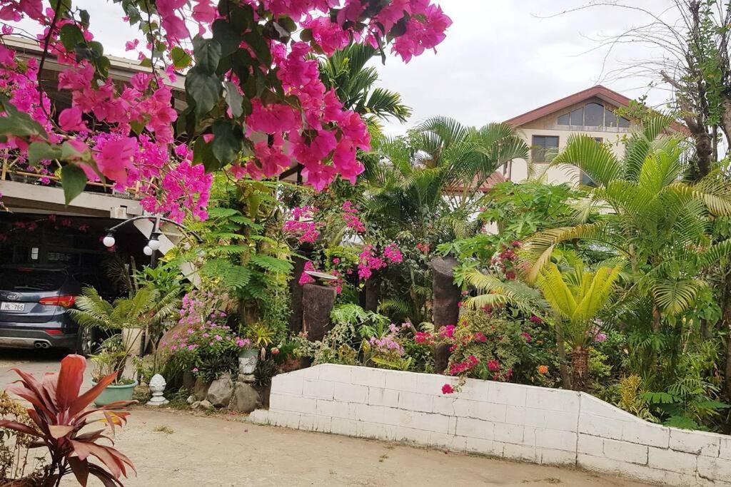 Central Nadi - Lodge 2 - view 19