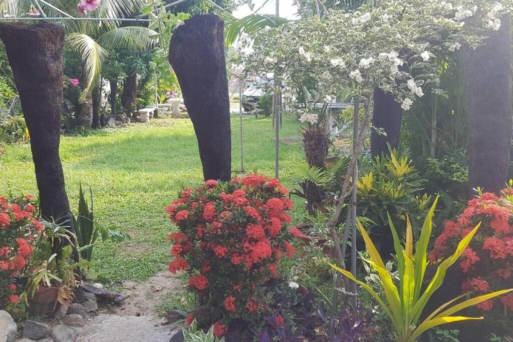 Central Nadi - Lodge 2 - view 20