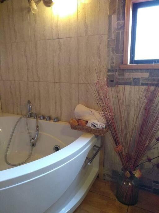 arriendo amplia casa con jacuzzi por días