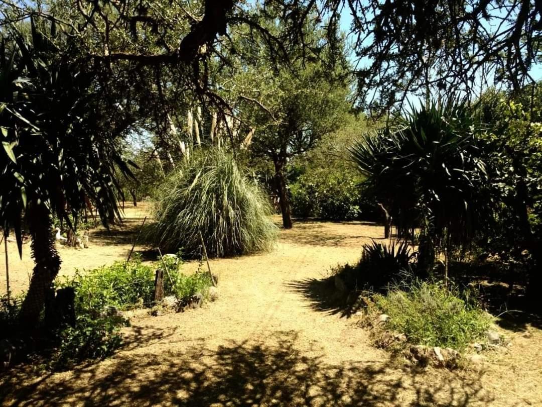 CASIOPEA. Casa de campo