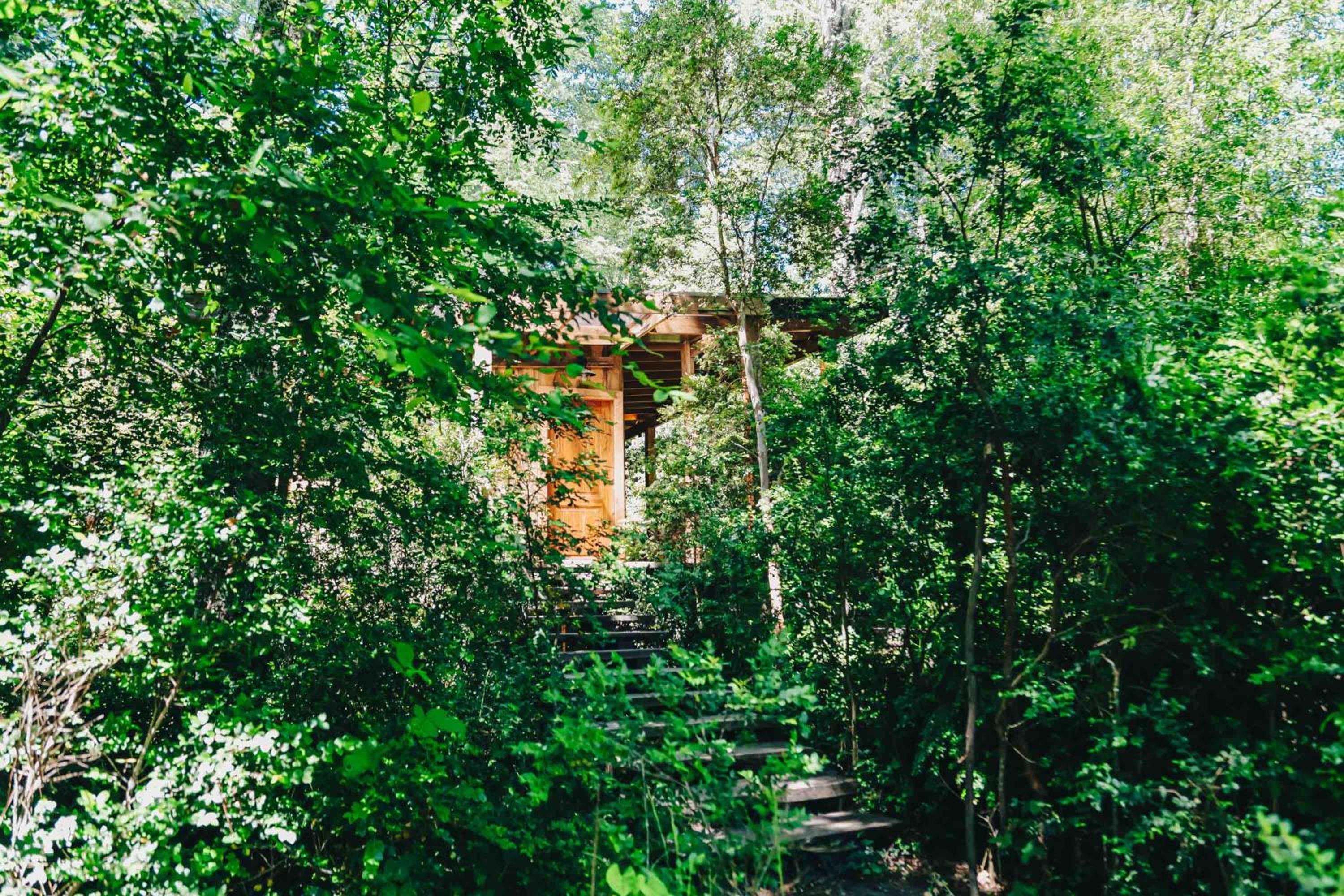 Longón del Bosque