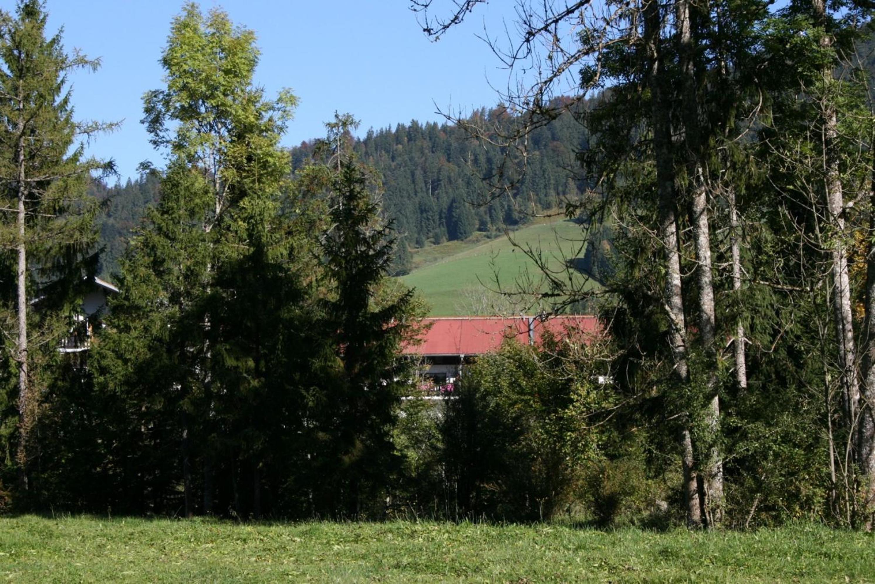 Alpendohle