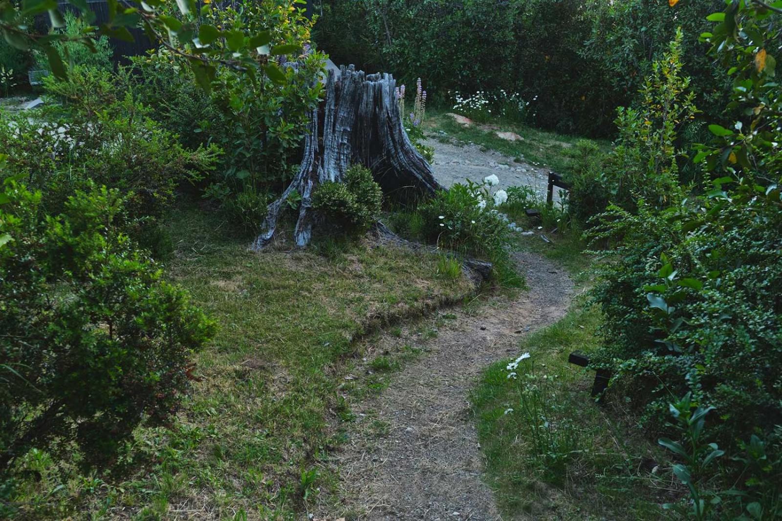 Photo 33