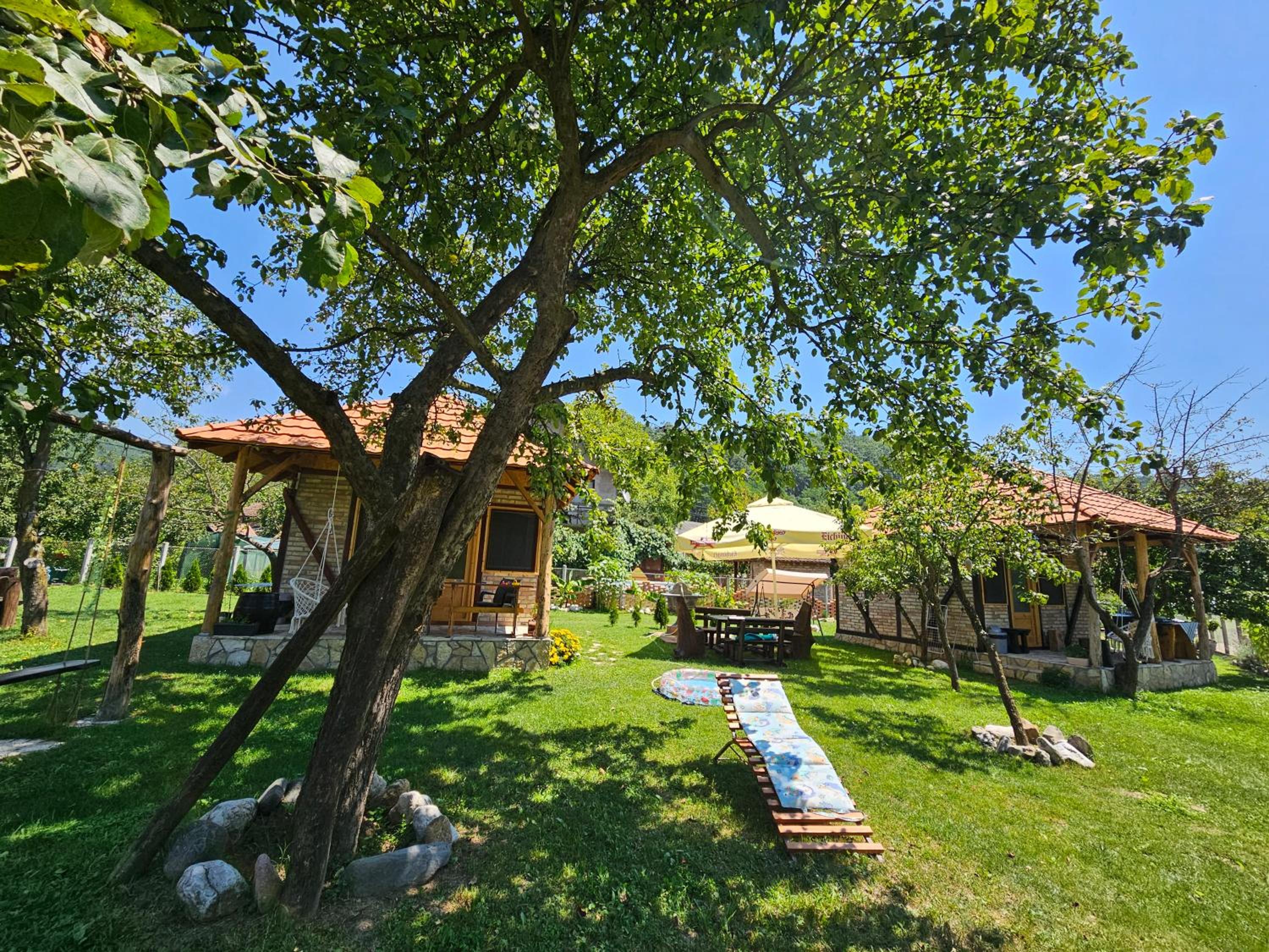 Drinska Dedovina