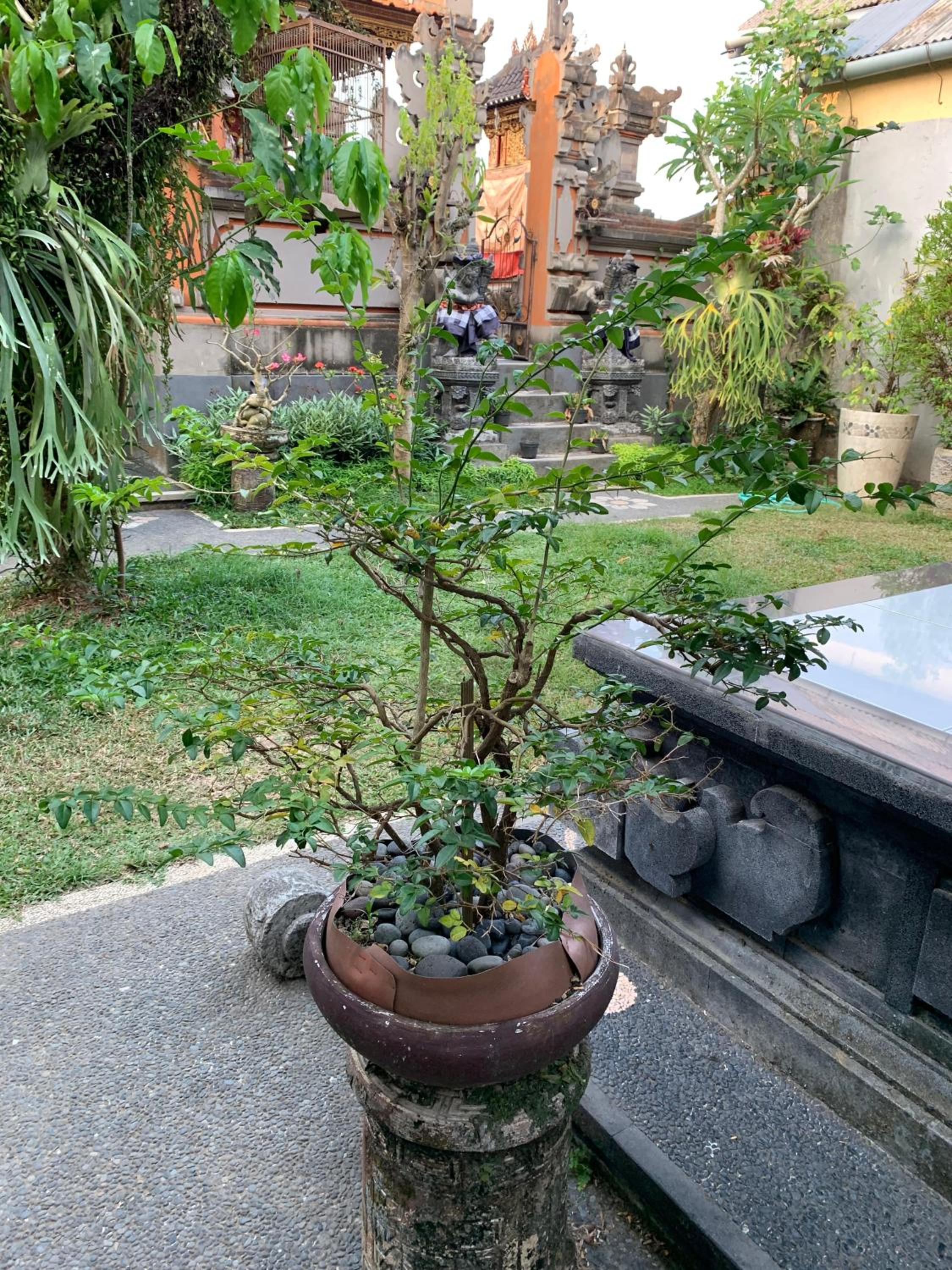 Photo 10