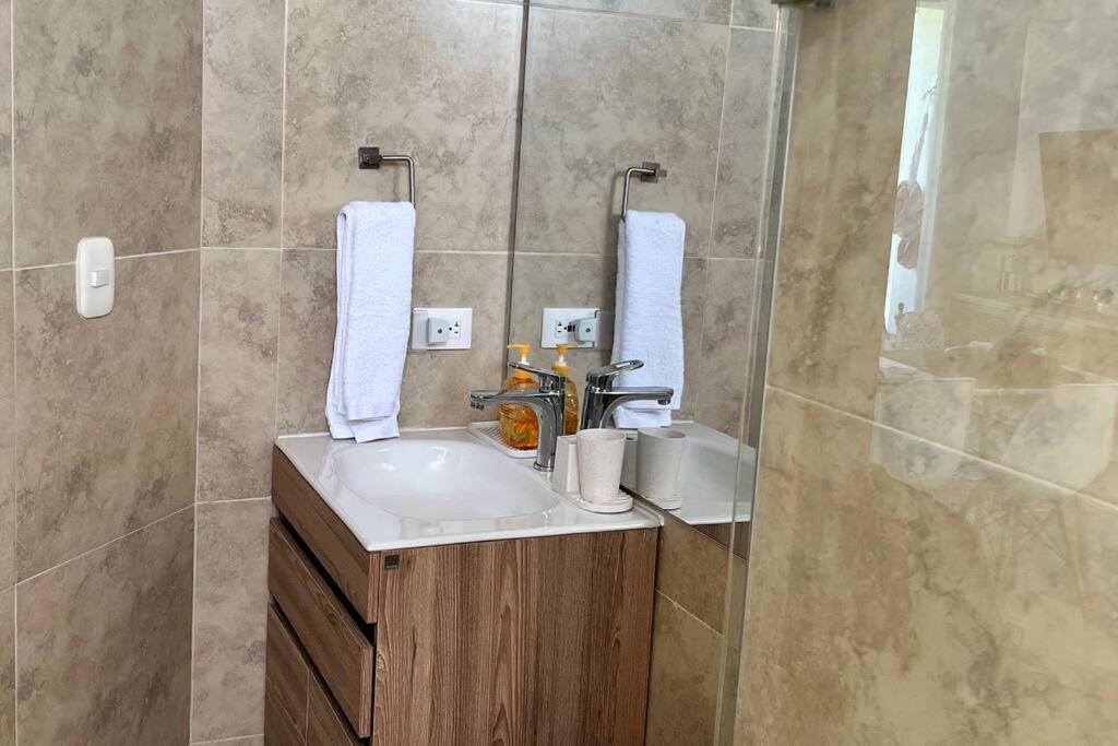 Your Oasis in Santa Marta
